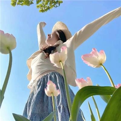 上去高山望平川